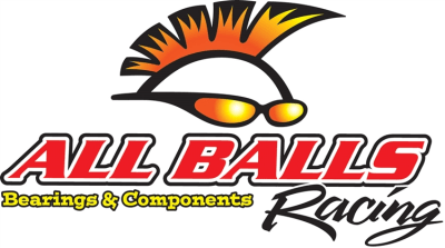 All Balls Racing Fork Seals and Wiper Honda Suzuki Yamaha