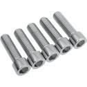 GARDNER-WESTCOTT Bolts Harley Chrome Pulley Bolts-Kit (5)