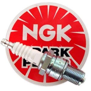 NGK Spark Plug Harley Davidson