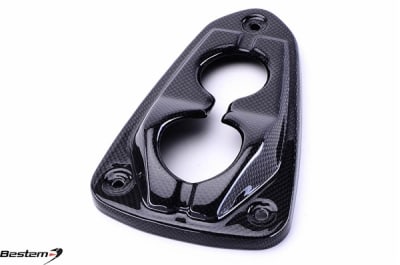 Kawasaki Z800 Carbon Fiber