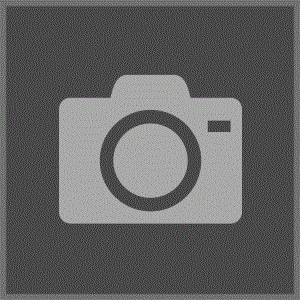 SBL Suzuki GSX-R600 2004-2005 No Cut - Frame Sliders