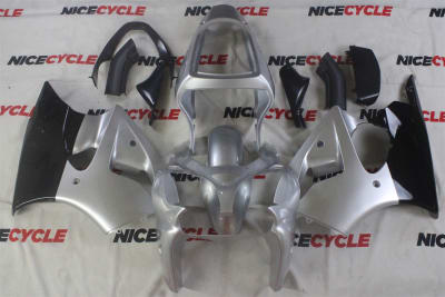 Motorcycle Fairings Kit - Kawasaki 2000-2002 ZX6R and 2005-2009 ZZR600 OEM Style Silver Fairings | KAW47