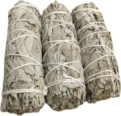 White Sage Salvia apiana Smudge