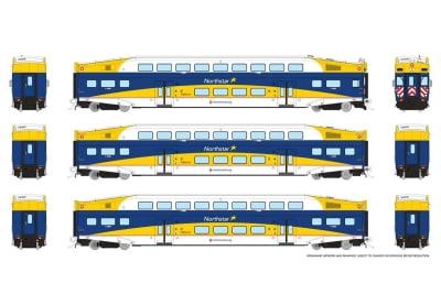 RT1110012-3