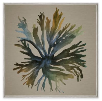 Coral Fantasia IV