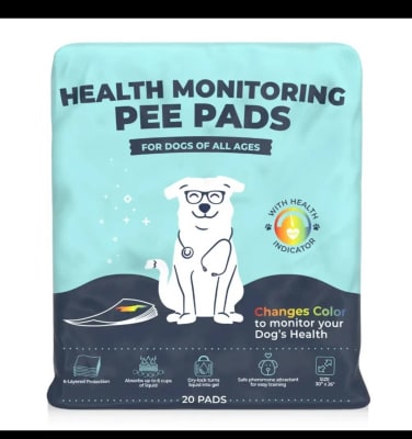 Health Monitoring Pee Pads
