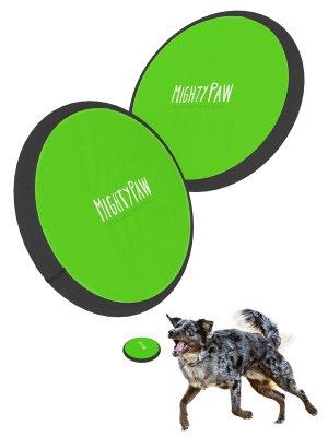 Mighty Paw 10 inch Dog Frisbee