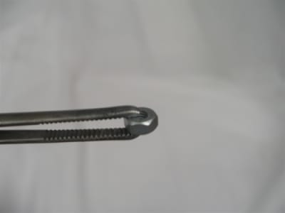 NUT<br><font color="red">34705.002</font>