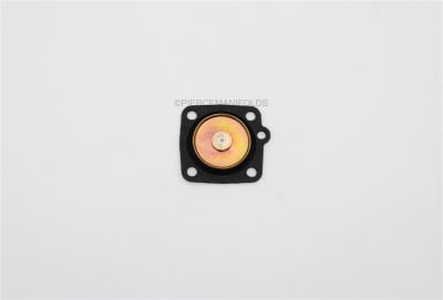 DIAPHRAGM <br><font color="red">47407.163</font>