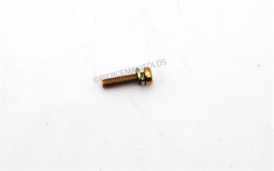 photo of Genuine Weber Pump Cover fixing Screw from Pierce Manifolds