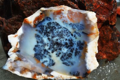 TURKISH DENDRITIC AGATE