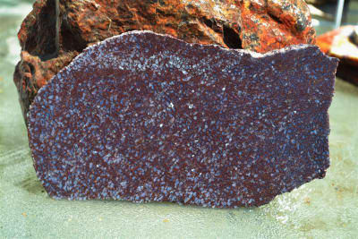 RED WEB DINO BONE