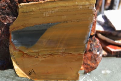BIG HORN PICTURE JASPER