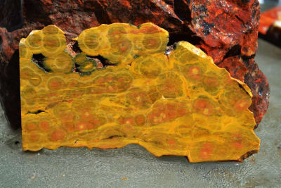 KABAMBY OCEAN JASPER