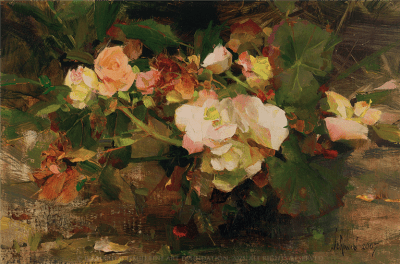 Begonias By Richard Schmid