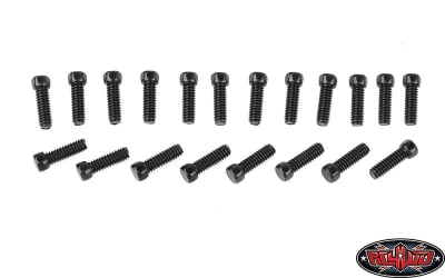 RC4WD Scale Hex Head Bolts (M2x6mm) (Black) (20)