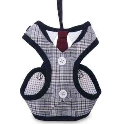 Tuxedo Small Dog Harness