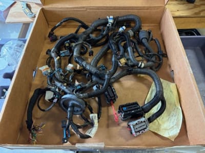 2006 OEM GTO LS2/4L60E Harness