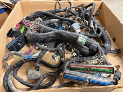 2003 Blue Green Harness