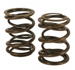 45 lbs Dual Valve Springs