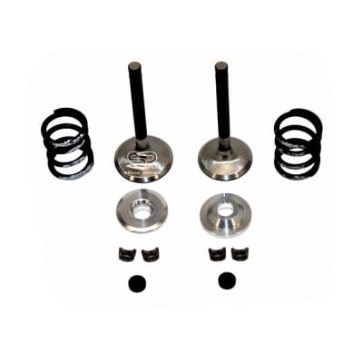 Valve & Spring Package, Stainless Steel - GX270