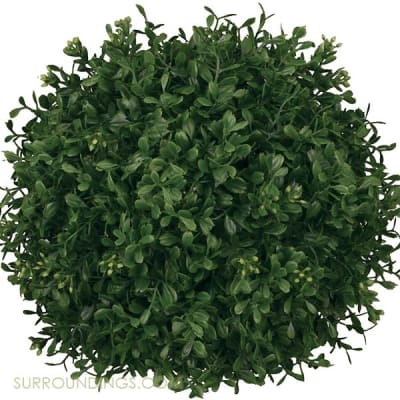 Boxwood 7" orb