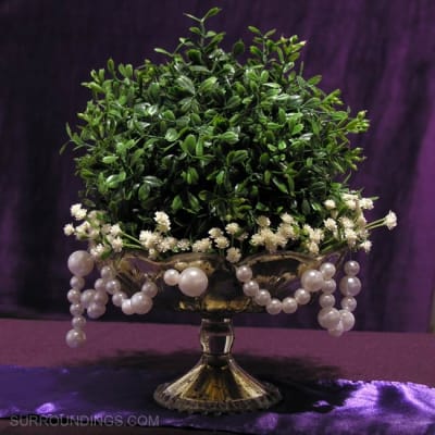 Boxwood 5" orb