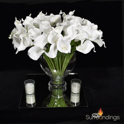 Calla lily