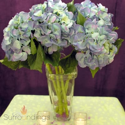 Hydrangea stems