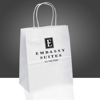 Medium Paper Gift Bag, Embassy Suites 1229333