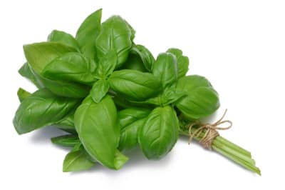 All Natural Basil Olive Oil