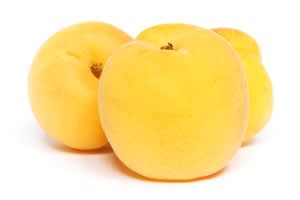 Blenheim Apricot White Balsamic