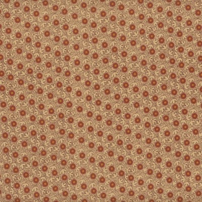 JAMESTOWN:   DAISY in Gourd by Jo Morton