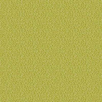 Noel: Wintergreen in Green by Edyta Sitar