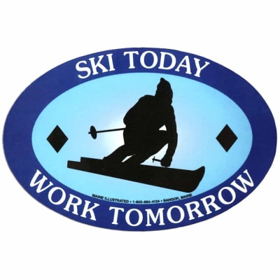 Ski Today Magnet