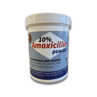 Amoxicillin 10% Powder