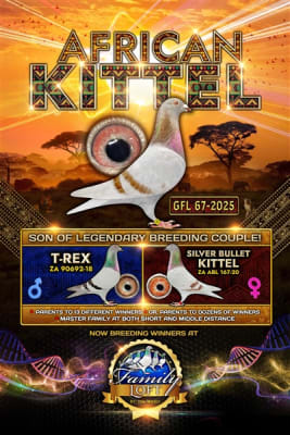 African Kittle