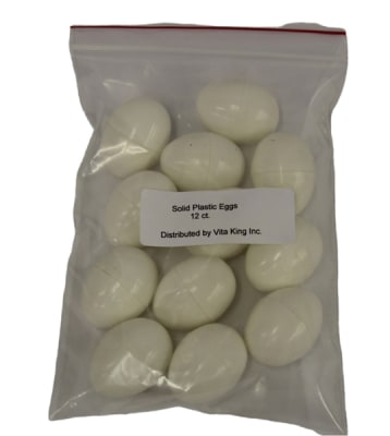 Dummy Eggs