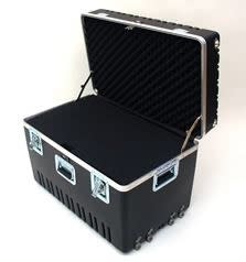 Platt Cases 301820AH