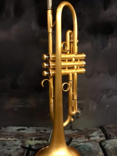 Taylor Bb trumpet - Piranha