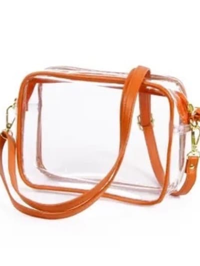 Bridget Clear Purse with Leather Strap