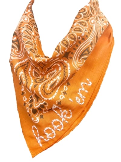 Hook em Embroidered Scarf