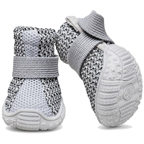 Trotters dog sneakers for Yorkies