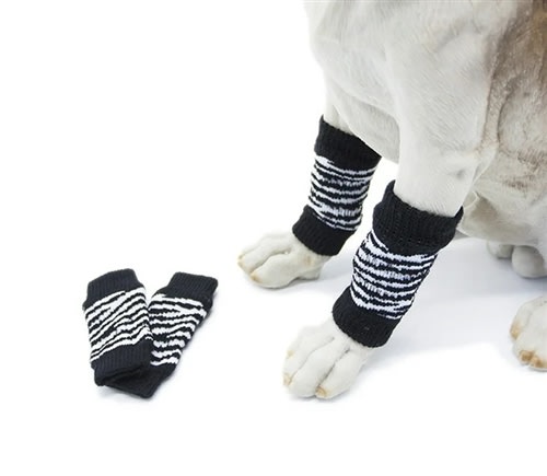 Dog Leg Warmers in Zebra Print | AllDogBoots