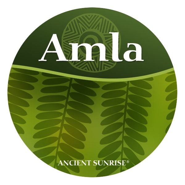 photo of Amla gooseberry powder photo of Amla gooseberry powder
