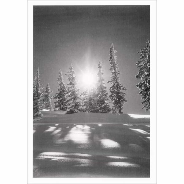Sunburst in Aspen Greeting Card