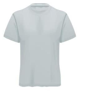 blank t shirt