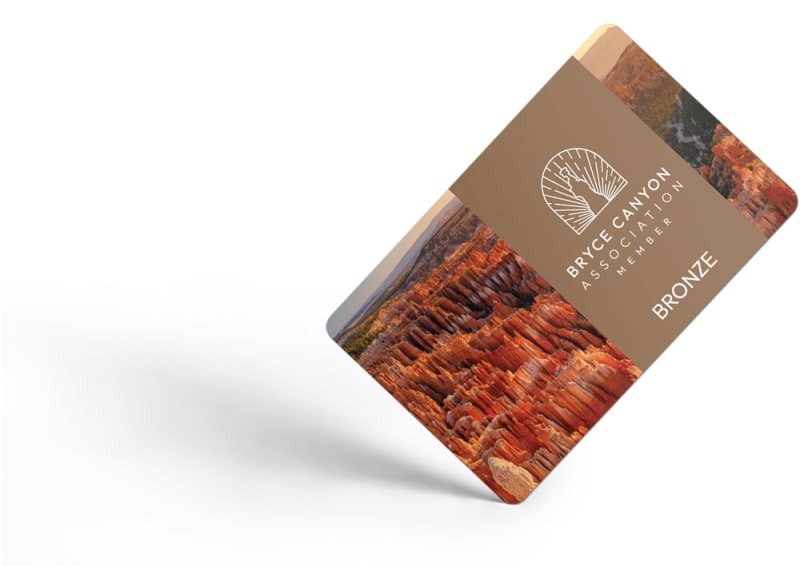 BCA Bronze Membership