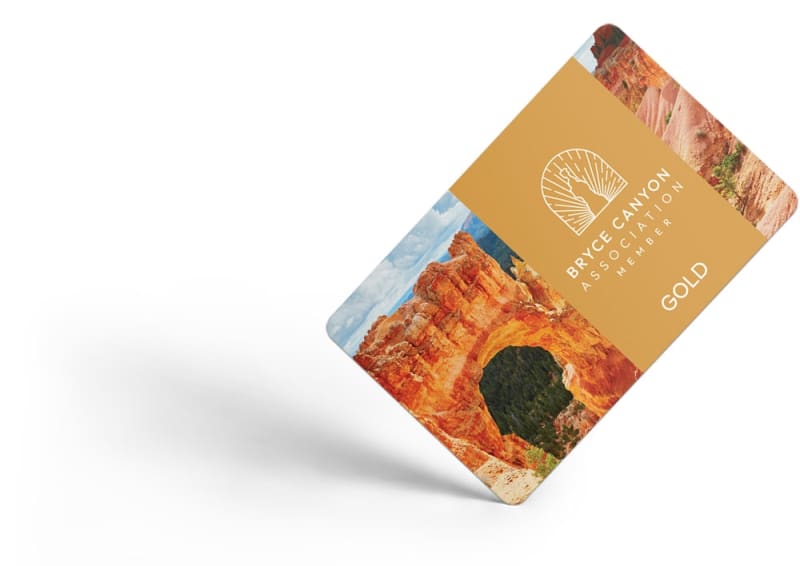 BCA Gold Membership