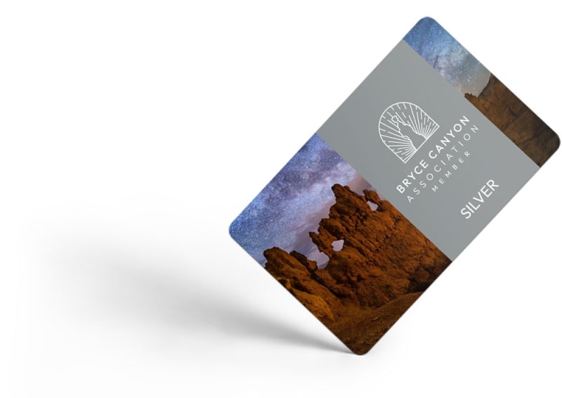BCA Silver Membership